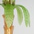Vintage Italian Glass and Brass Palm Tree Floor Lamp For Sale In West Palm - Image 6 of 11