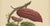 Berthe Hoola van Nooten, Cacao Tree (Theobroma Cacao), 1880, Chromolithograph For Sale - Image 4 of 9