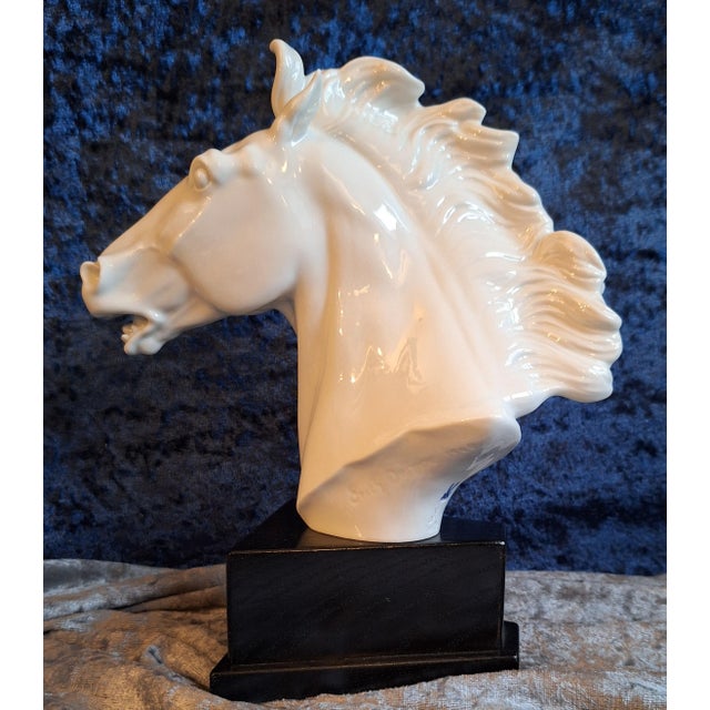 Wood Horse Head Sculpture in White Glazed Porcelain on Black Base by Erich Oehme for Meissen, 1970s For Sale - Image 7 of 7