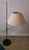 Mid-Century Adjustable Brass Floor Lamp, 1950s For Sale - Image 15 of 17