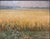 Landscape Composition, Oil Painting on Cardboard, Framed For Sale - Image 11 of 11