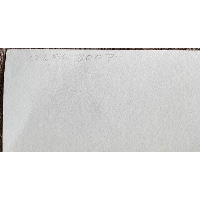 Original Signed Hunt Slonem Serigraph Pillow Jungle For Sale - Image 13 of 14