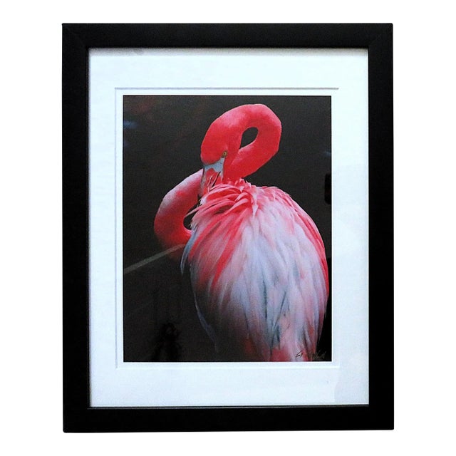 Pink Flamingo Framed Photograph Photo Signed Pat Toth Smith C. 1996 Florida For Sale
