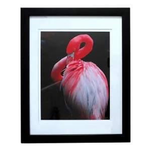 Pink Flamingo Framed Photograph Photo Signed Pat Toth Smith C. 1996 Florida