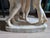 Stone 19th Century Italian Carved Alabaster Sculpture of the Three Graces After Canova - 23" For Sale - Image 7 of 13