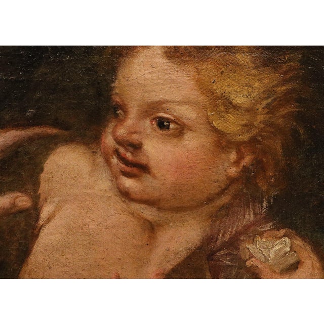 Federico Cervelli, Venus with Three Putti, Nude, 1680, Oil on Canvas For Sale - Image 11 of 14