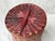 Vintage Bamboo Waste Basket For Sale - Image 12 of 13
