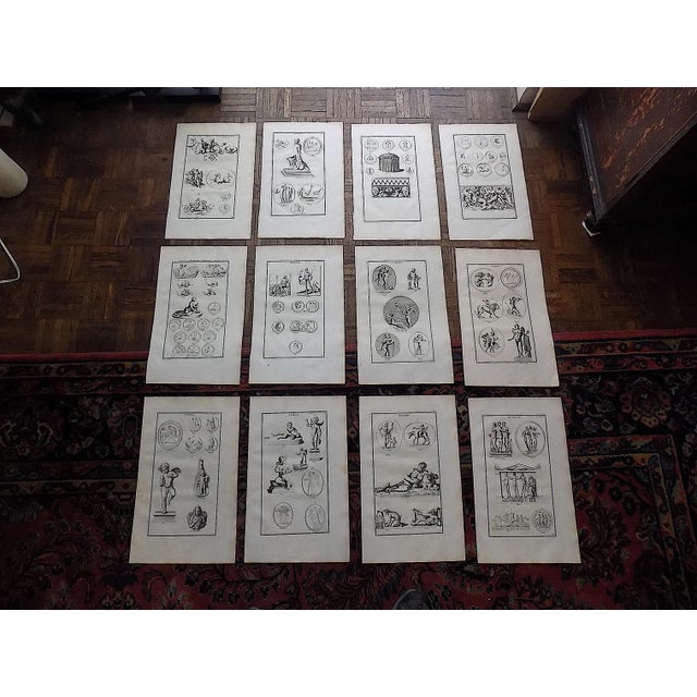 Black Antique 18th Century Neo-Classical Copperplate Engravings - Set of 12 For Sale - Image 8 of 8
