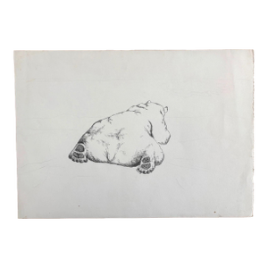 Original 24" x 17" Pen & Ink Drawing of Polar Bear by Gail Ross, EUC