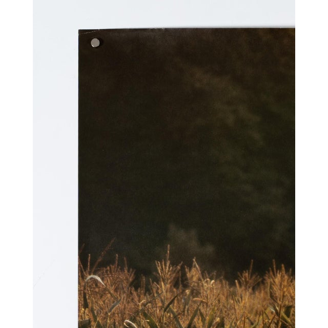 1970s Porsche the Car of the Decade 1979 Original Advertising Poster For Sale - Image 5 of 9