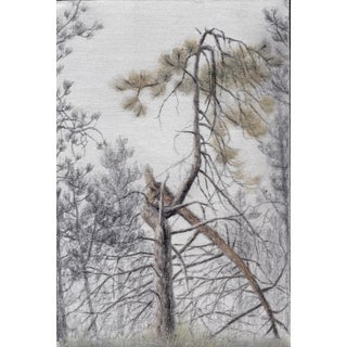 Twisted Ponderosa by Lisa Lebofsky | Graphite and oil on aluminum Tree with twisted branches and foliage For Sale