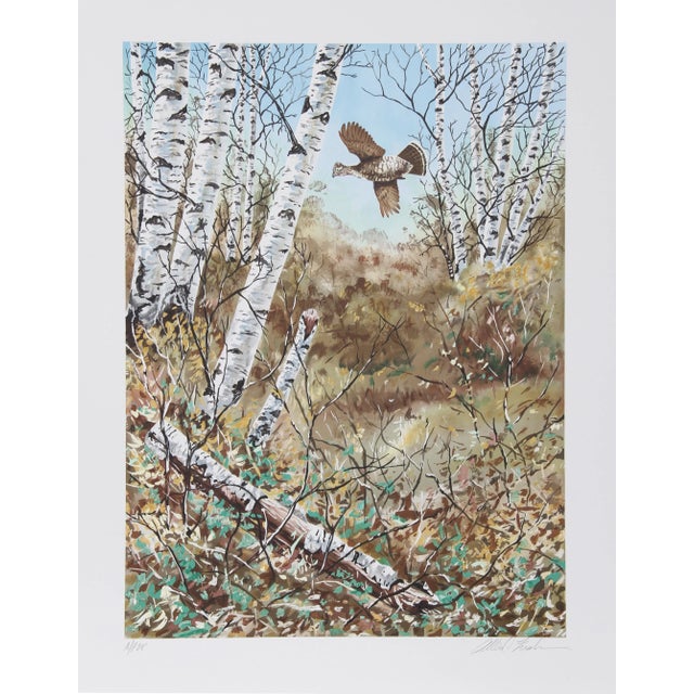 Modern Allen Friedman, in the Birches, Lithograph For Sale - Image 3 of 3