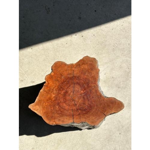 Set of Lychee Stools Forming a Coffee Table For Sale - Image 13 of 18
