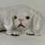 A rare to market vintage French white tin glazed terracotta sculpture of a pekinese dog with glass eyes. It is stamped...