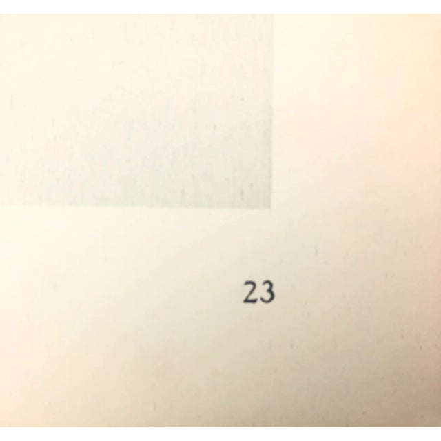 Framed Antique Botanical Photogravure Blossfeldt Print - No. 23 For Sale - Image 4 of 5