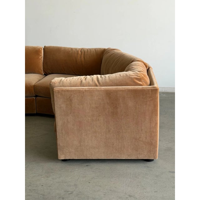 The Curved Perennial For Sale - Image 4 of 18
