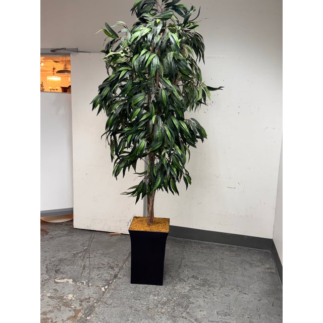 Faux Mango Tree + Tapered Black Planter For Sale - Image 4 of 12