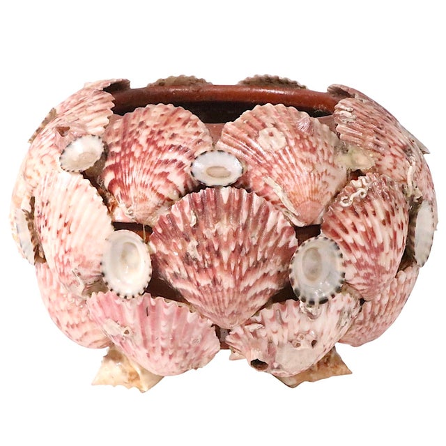 Brown Vintage Decorative Shell Bowl For Sale - Image 8 of 10