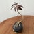 Vintage Copper and Brass Palm Tree Sculpture Mounted on Lava Rock Base For Sale - Image 12 of 12