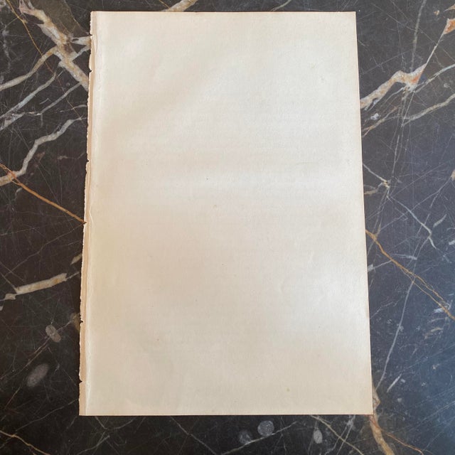 French Antique 18th Century “L’Oiseau” Bird Engraving Hand Colored Artwork For Sale - Image 4 of 4