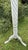 Tall Distressed Wood Claw Foot Painted Pedestal Plant Stand For Sale - Image 4 of 18