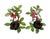 A charming, vintage pair of hand painted tole candle holders. Each features leafy green strawberry plants with berries and...