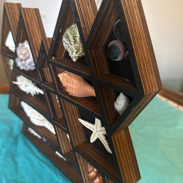 Mid-Century Modern Geometric Mountain Wooden Curio Shelf With Natural Seashell Collection For Sale - Image 10 of 11