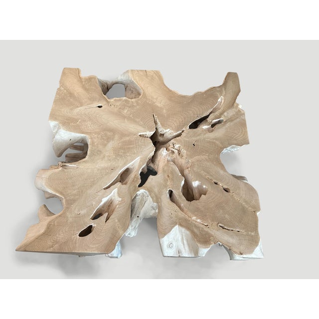 Andrianna Shamaris Organic Bleached Teak Wood Coffee Table For Sale - Image 13 of 18