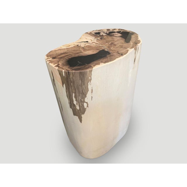 Andrianna Shamaris High Quality Exquisite Petrified Wood Side Table For Sale - Image 17 of 18