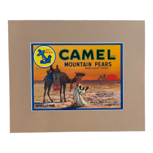 Original Vintage CAMEL Mountain Pears California Crate Label, Matted - EUC