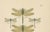 Green Dragonfly & Damselfly Lithographs by Richard Tümpel, 1908, Set of 3 For Sale - Image 8 of 14