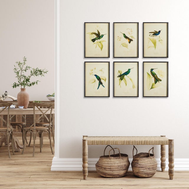 Kenneth Ludwig Chicago Hummingbird Prints, Set Of 6 For Sale - Image 4 of 4