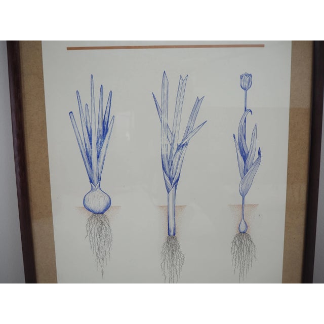 School Poster, Czechoslovakia, 1960s For Sale - Image 6 of 7