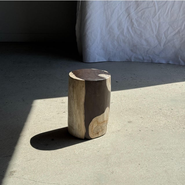 Small Side Table in Black and White Petrified Wood, 1980s For Sale - Image 12 of 18