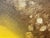 Paint Tim Atmar Signed Original Modern Yellow Ethereal Bird Framed Oil Painting For Sale - Image 7 of 10