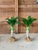 Green Pair Coastal Tropical Canvas Royal Palm Trees For Sale - Image 8 of 8