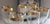 Vintage Mid-Century Circleware Classique Gold Rimmed Champagne Flutes Set of 6 in Original Box For Sale - Image 10 of 10