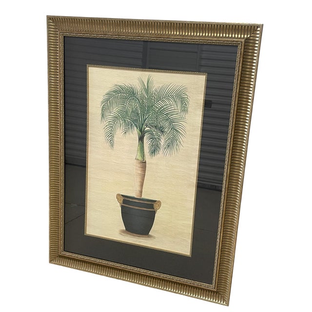 Gorgeous set of Vintage discontinued X-Large Iksel Decorative Art lithographs of Sovereign Palm I & II. Beautifully Framed...
