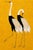 Japanese Japanese Crane Diptych, Oversized Gold Wall Art Collection, 32" X 48" For Sale - Image 3 of 8