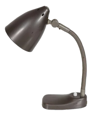 Dutch Desk Lamp from Hala, 1950s