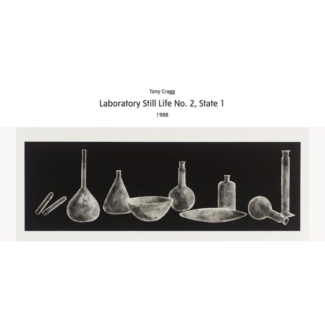 Black 1980s Tony Cragg Drawing Laboratory Still Life No.2 State 1 1988 Edition 12/30 For Sale - Image 8 of 14