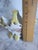 Vintage Victorian Hand Painted Porcelain Floral Twin Handled Vase For Sale - Image 13 of 13