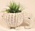 A superb white wicker elephant planter. I love the detail to this charming vintage piece.