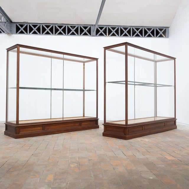 Antique Oak Museum Display Cases, 1910 For Sale - Image 18 of 18