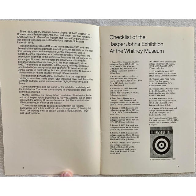 Pop Art Jasper Johns Catalog, by Michael Crichton For Sale - Image 3 of 9