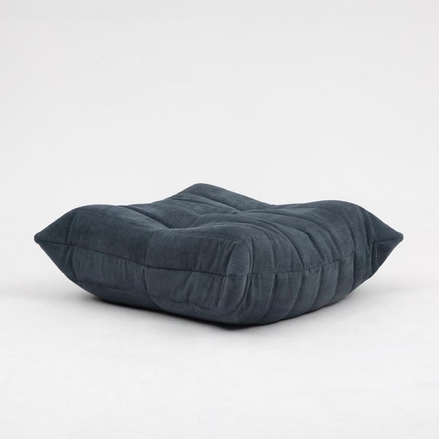 Togo Lounge Chair and Pouf in Grey Corduroy by Michel Ducaroy for Ligne Roset, 1973, Set of 2 For Sale - Image 11 of 18