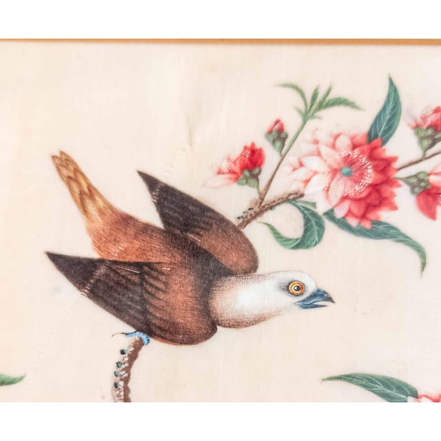 19th or 20th Century Chinese Watercolor Pith Paper Painting of Birds Arguing For Sale - Image 11 of 16