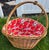 Apple Lined Basket With Handles For Sale - Image 9 of 12