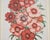 Set of Nine Botanical Lithograph Prints After Louis Van Houtte For Sale - Image 9 of 18