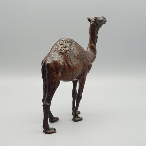 Franz Bergman, Dromedary, 1890s, Bronze For Sale - Image 9 of 10